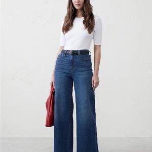 BANANA REPUBLIC 31 R High-Rise Wide Leg Jeans